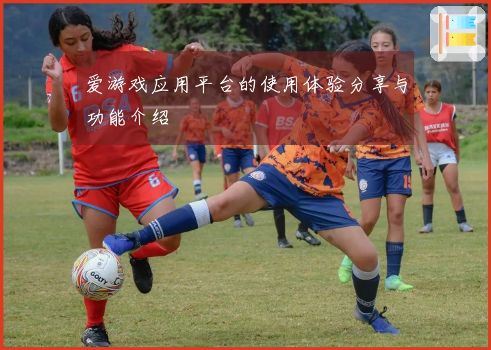 爱游戏应用平台的使用体验分享与功能介绍