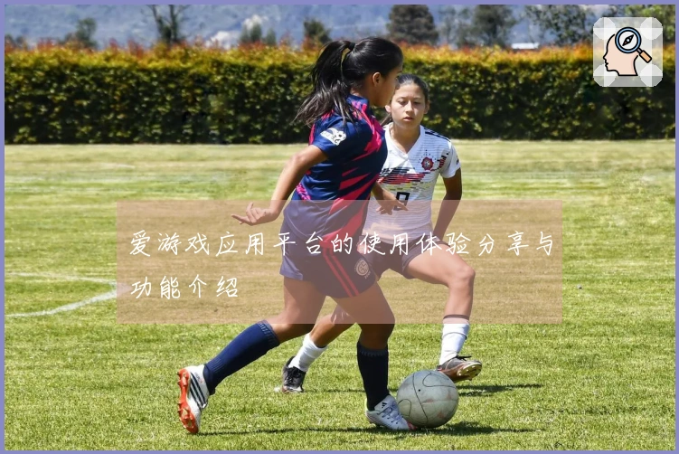 爱游戏应用平台的使用体验分享与功能介绍